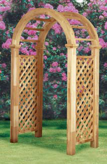 CT Arbor Designs