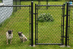 chain link fence