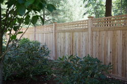 cedar wood fence